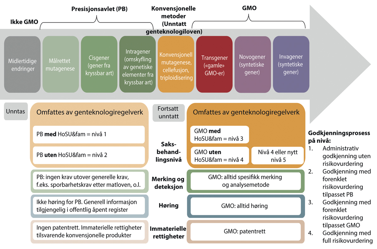 Figur 10.2 Oversikt over reguleringsnivå og vilkår for markedstilgang i flertallsmodellen som funksjon av type/presisjonsnivå for genetisk endring. I forhold til type/grad av/presisjonsnivå for genetisk endring, fordeles kategoriene PB og GMO på hver sin side a...