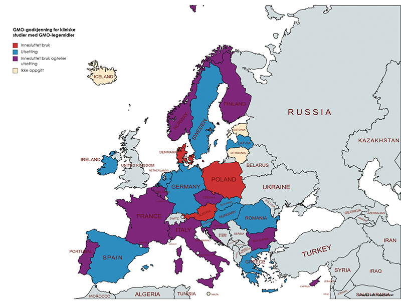 Figur 12.2 Oversikt over praksis etter GMO-regelverket for godkjenning av GMO i legemidler til klinisk utprøving i mennesker i EØS-området