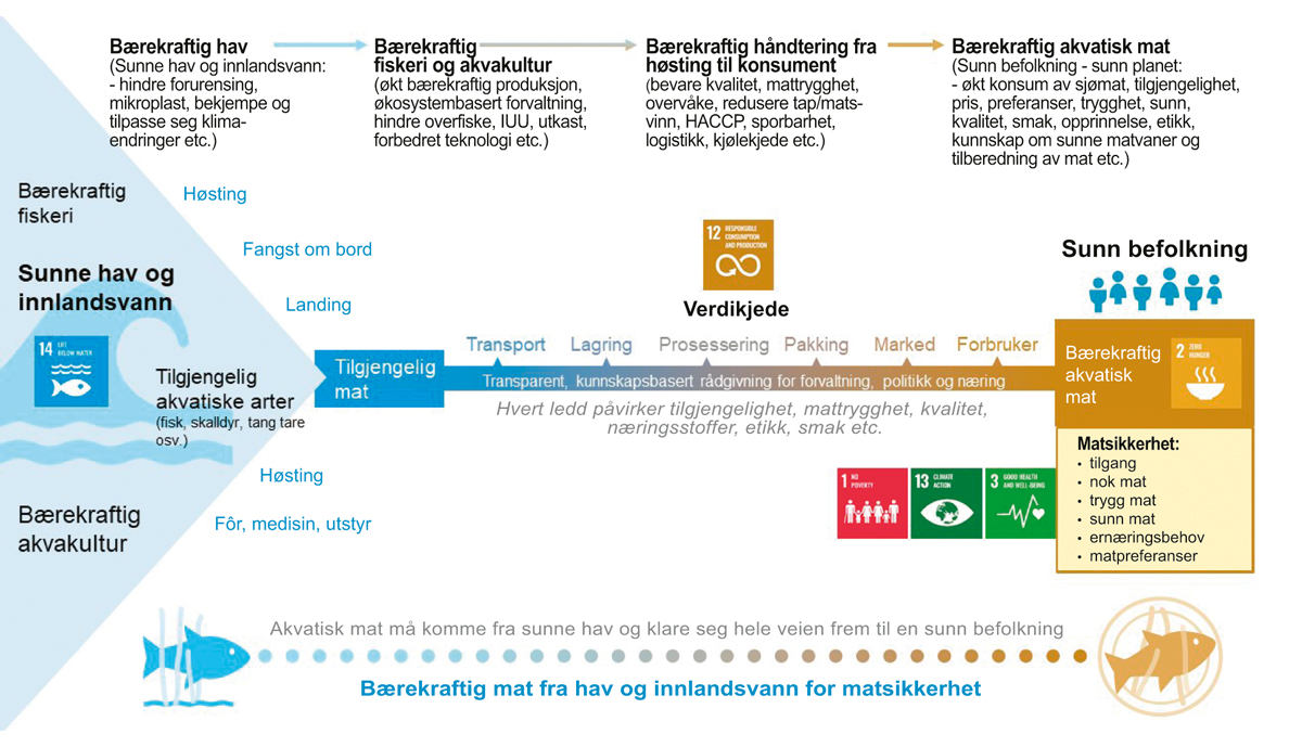 Figur 2.11 Mat frå havet og matsikkerheitsarbeid.