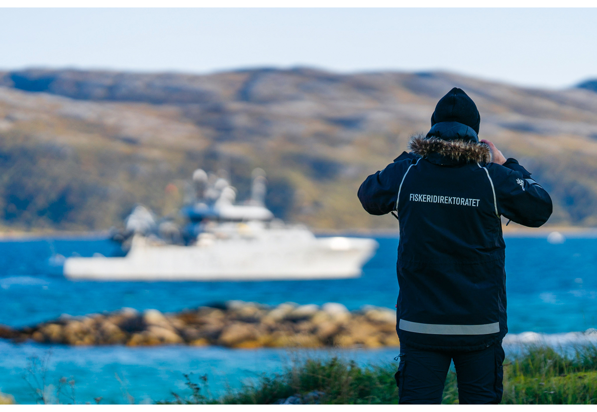 Figur 2.6 Fiskeridirektoratet har ansvaret for fiskerikontrollen saman med Kystvakta og salslaga.