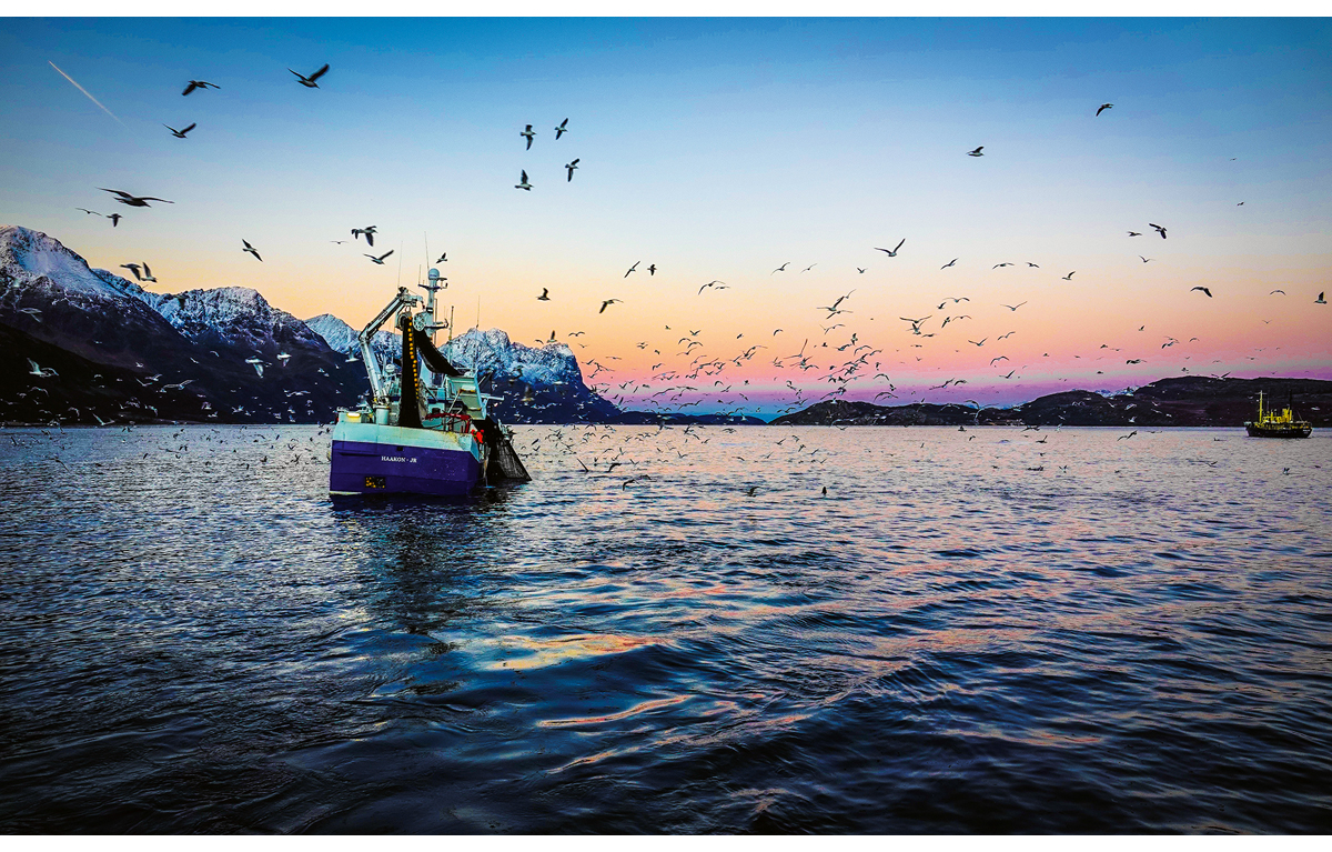 Figur 3.5 Sildefiske ein tidleg dag i november.