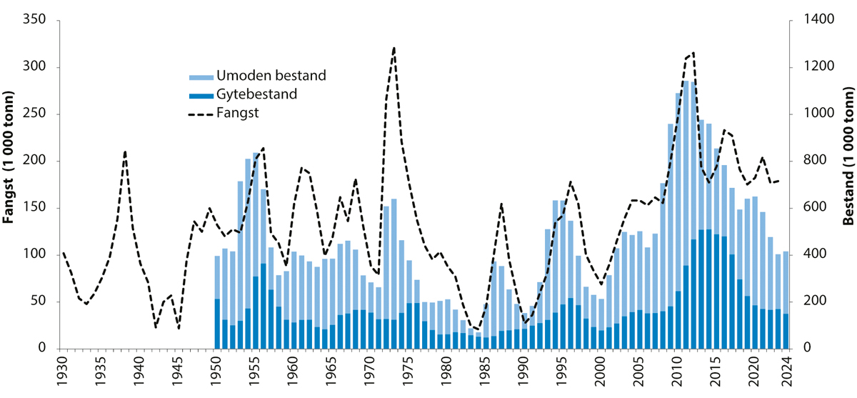 Figur 4.10 Utviklinga i bestand og fangst av nordaustarktisk hyse.