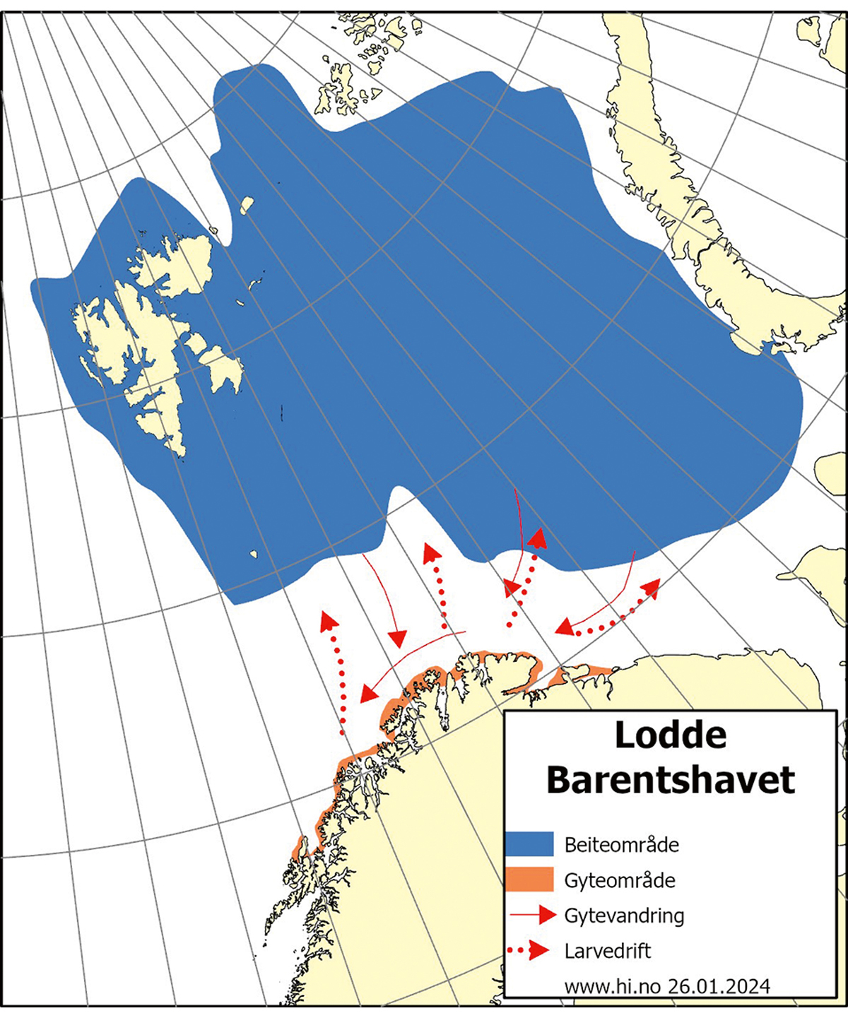 Figur 4.21 Utbreiingsområde og gyteområde for lodde i Barentshavet.