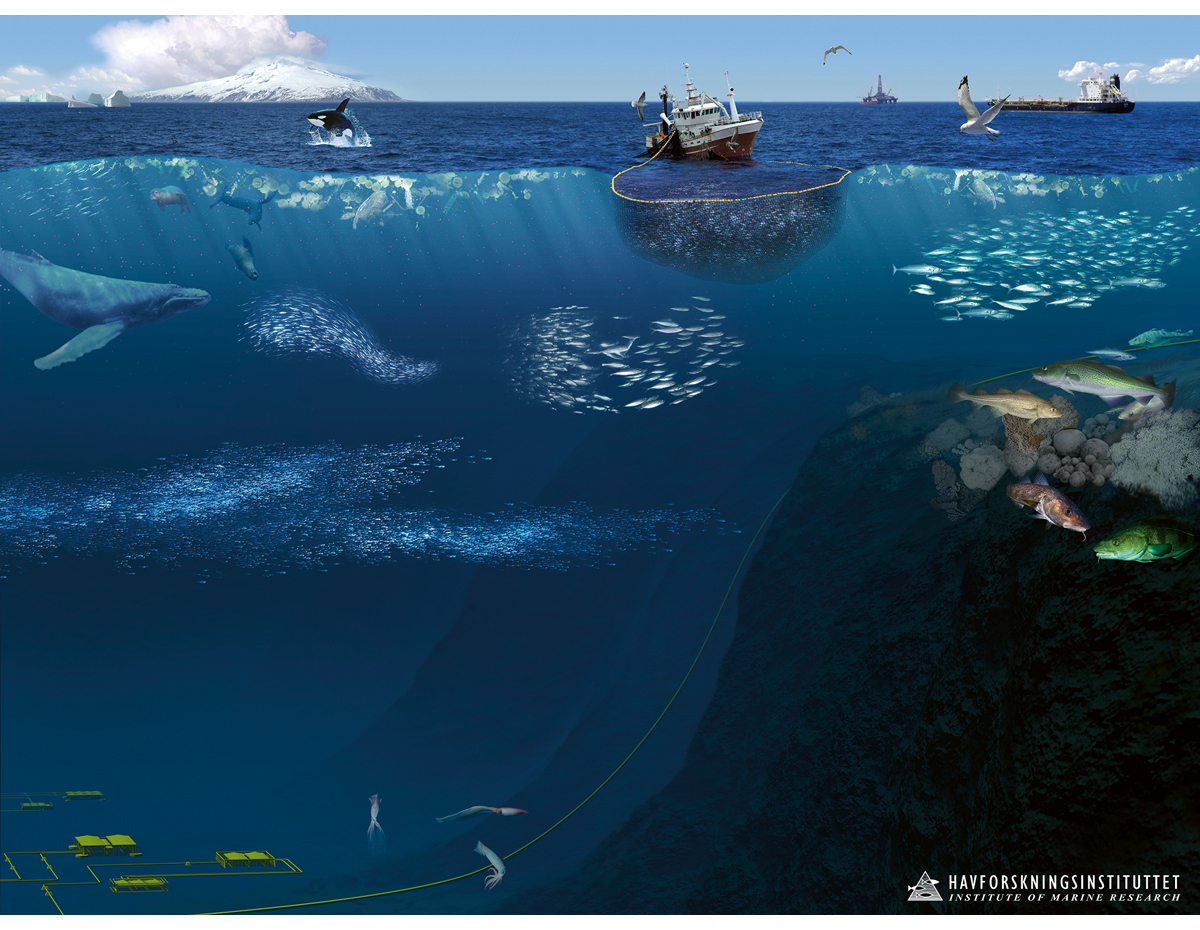 Figur 4.24 Økosystemet i Norskehavet.