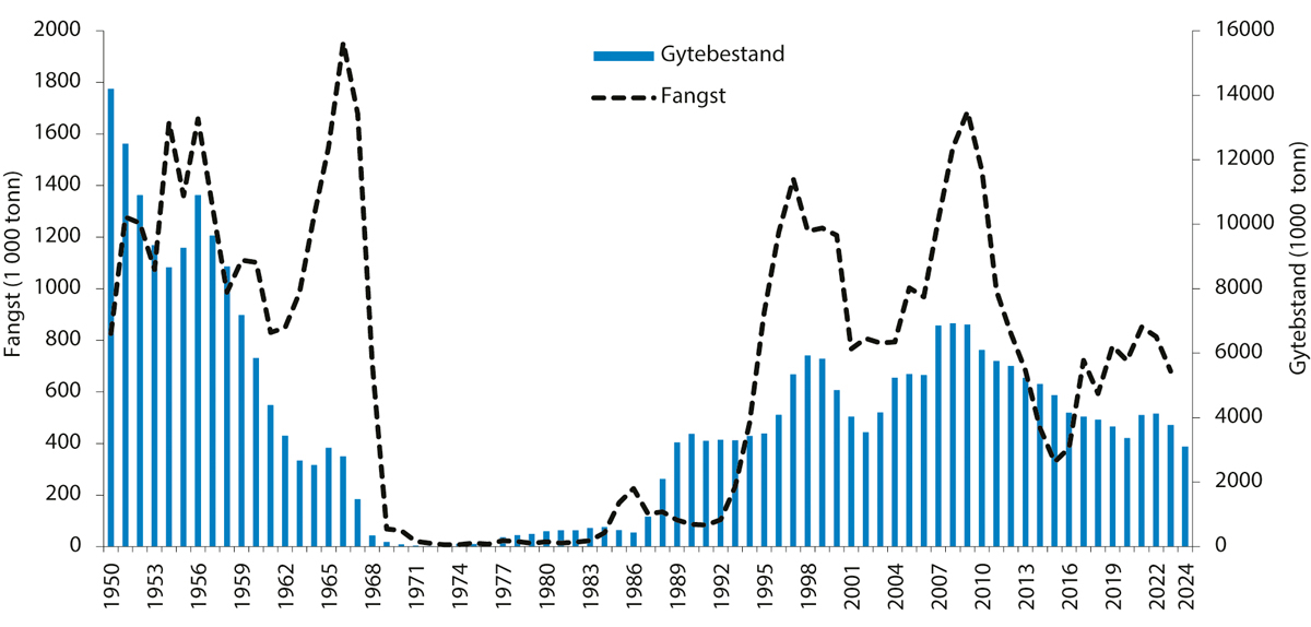 Figur 4.28 Utviklinga i bestand og fangst av norsk vårgytande sild.