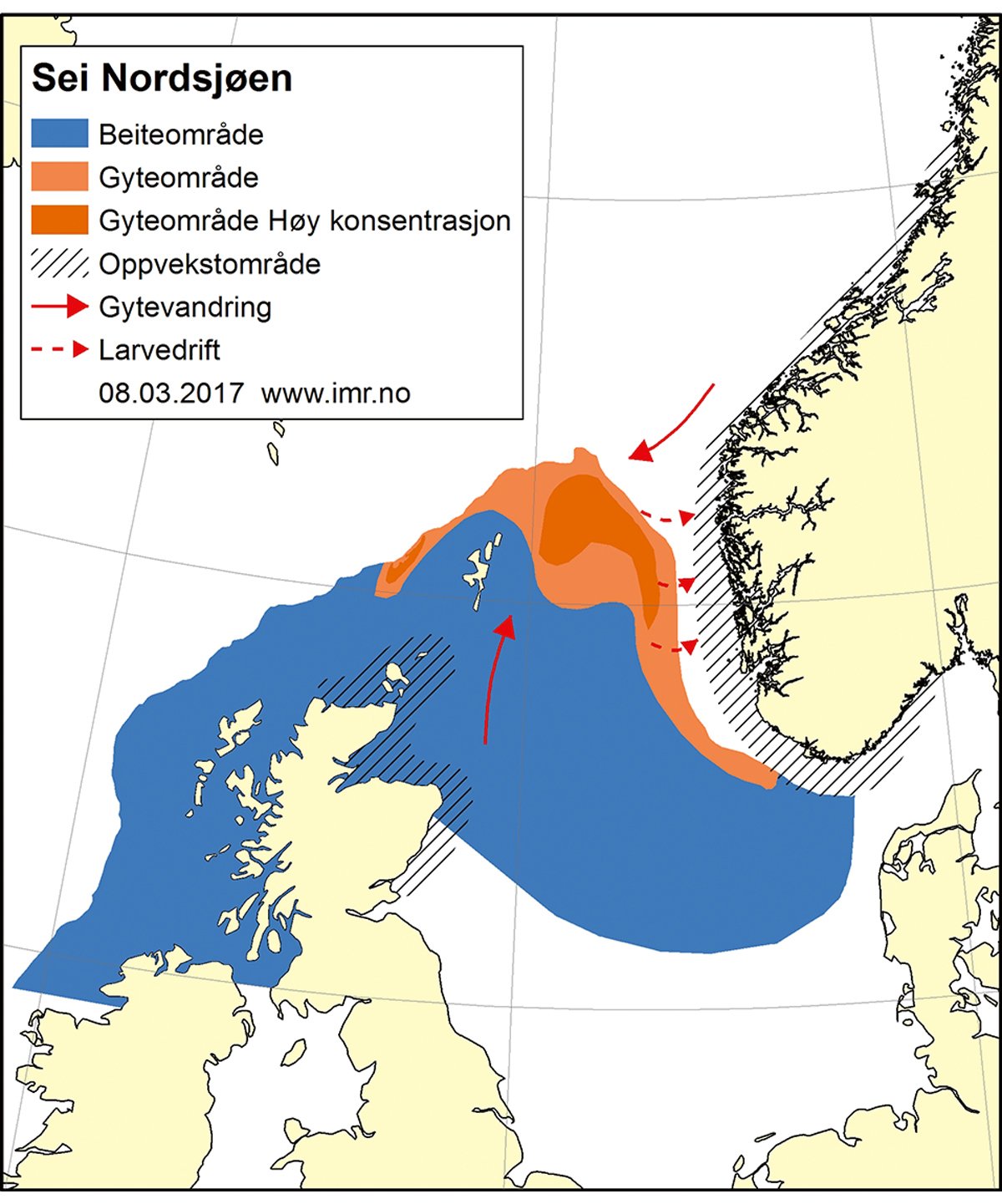 Figur 4.42 Utbreiingsområde og gyteområde for sei i Nordsjøen, i Skagerrak og vest for Skottland.
