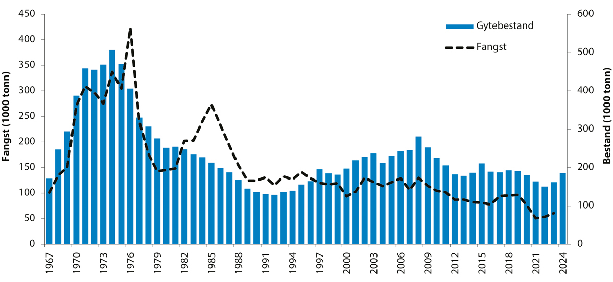 Figur 4.43 Utviklinga i bestand og fangst av sei i Nordsjøen, i Skagerrak og vest for Skottland.