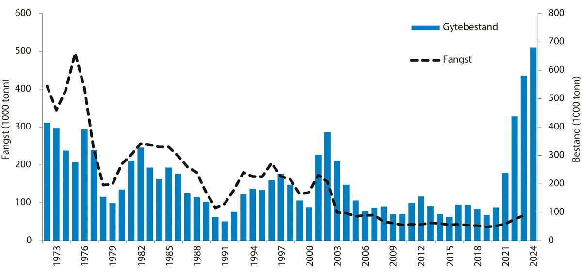 Figur 4.50 Utviklinga i bestand og fangst av hyse i Nordsjøen, i Skagerrak og vest for Skottland.