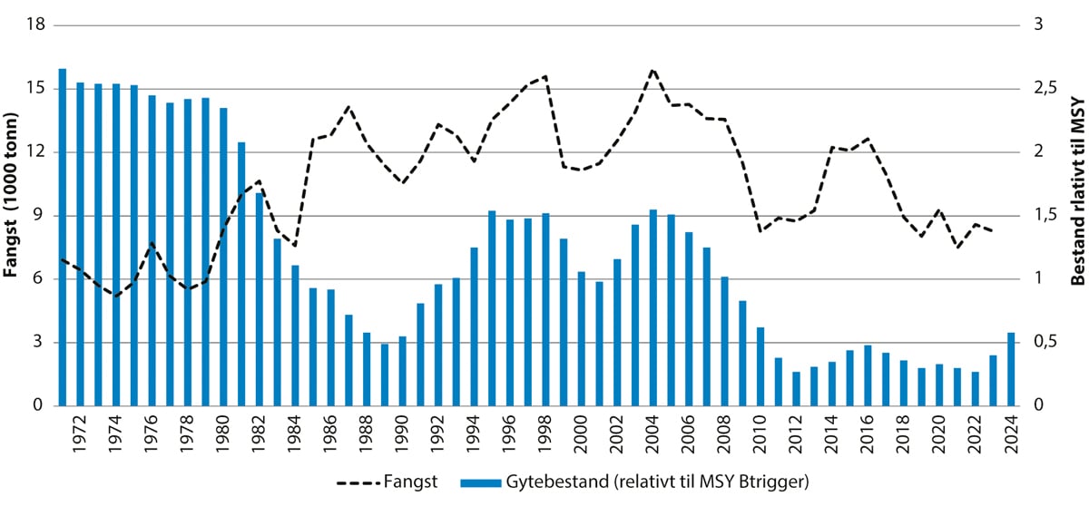 Figur 4.59 Utviklinga i bestand og fangst av reke i Skagerrak og Norskerenna.1