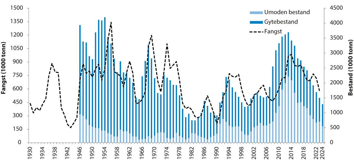 Figur 4.7 Utviklinga i bestand og fangst av nordaustarktisk torsk.