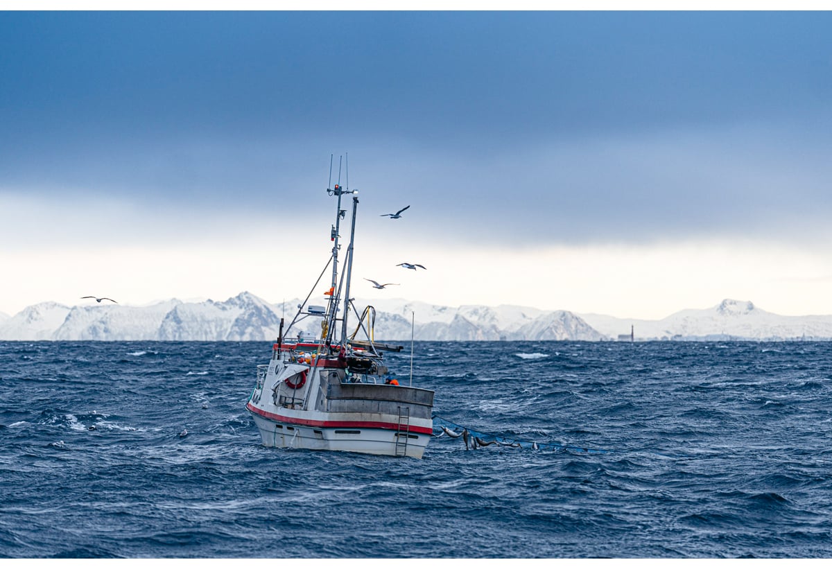 Figur 5.12 Garnfiske utanfor Andenes.