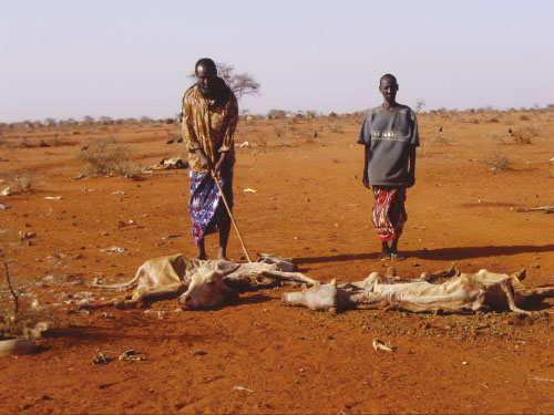 Figur 1.3 Tørke i Kenya