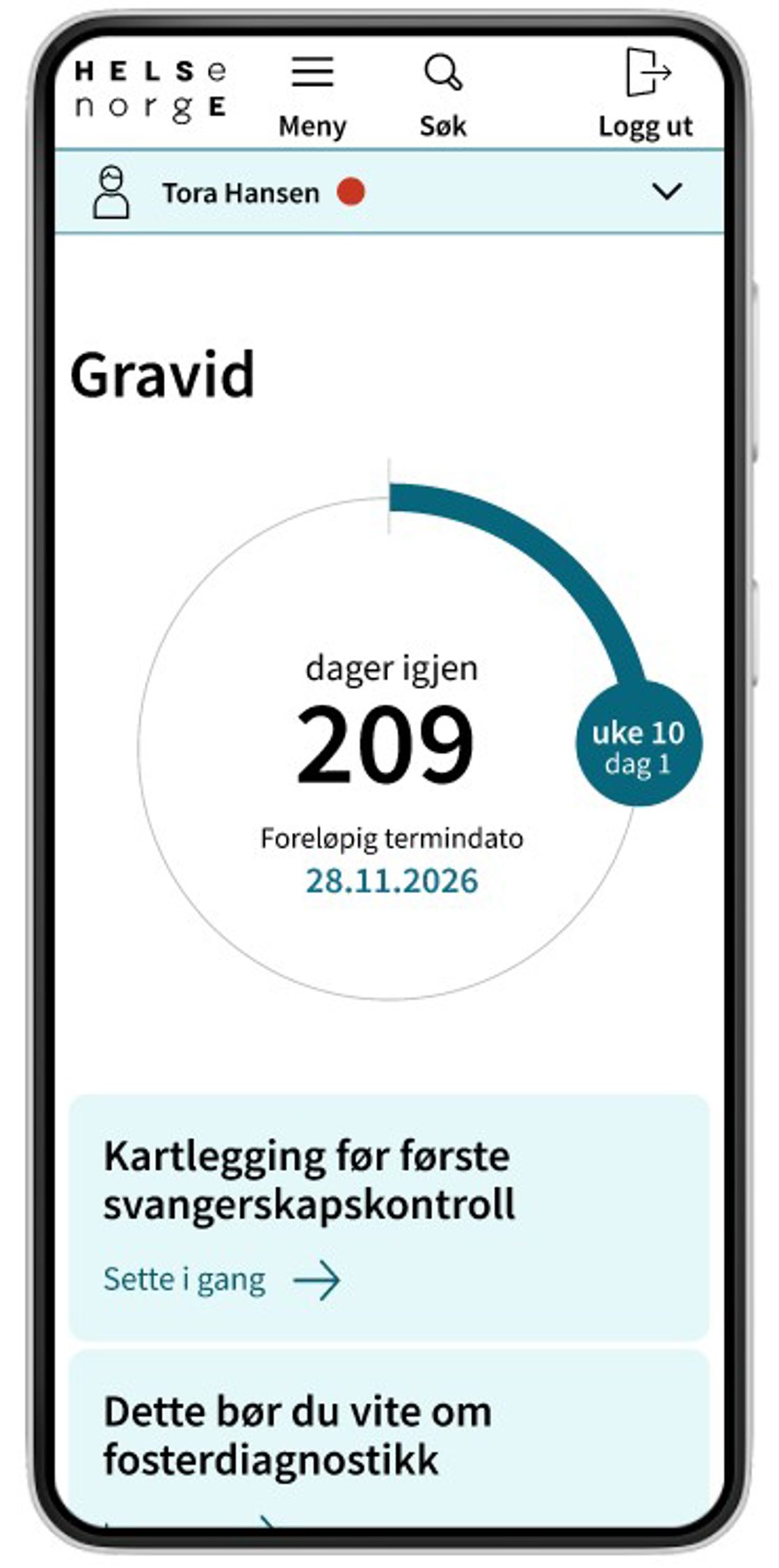 Skjermbilde fra digitalt helsekort for gravide