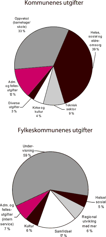 Figur 3.7 Sammensetningen av kommunesektorens utgifter. 20041
