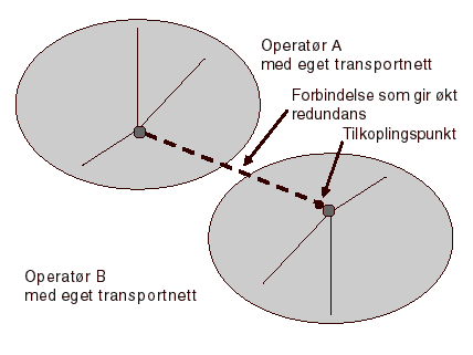 Figur 8.3 Sammenkobling av transportnett for økt redundans.