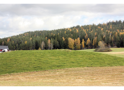 Figur 11.1 Bjørnholen