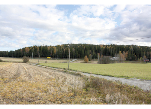 Figur 11.3 Tomter vest