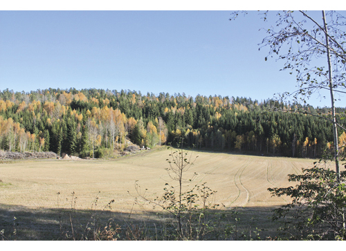 Figur 11.4 Mysen Nord