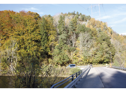 Figur 11.6 Gimsrød