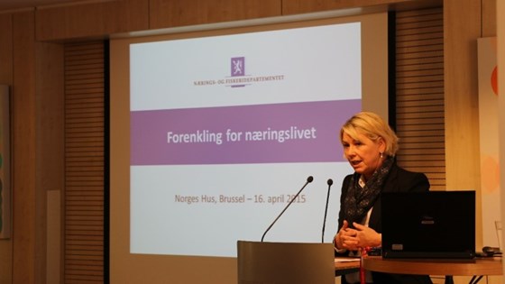 Næringsminister Mæland innledet miniseminar om reguleringsforenklinger på Norges Hus. Foto: Andreas Høglund, EU-delegasjonen. 