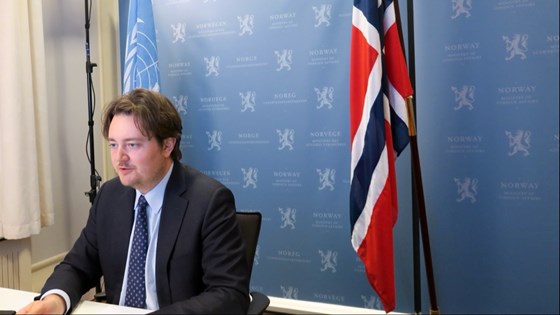 State Secretary Jens Frølich Holte. Credit: MFA