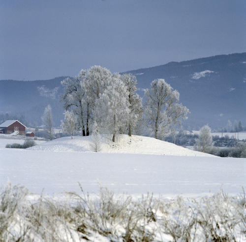 Figur 4.2 Tradisjonen forteller at liket av Halvdan Svarte ble delt i
 fire og gravlagt på fire forskjellige steder. Ett av disse
 stedene er trolig Halvdanshaugen på Ringerike.