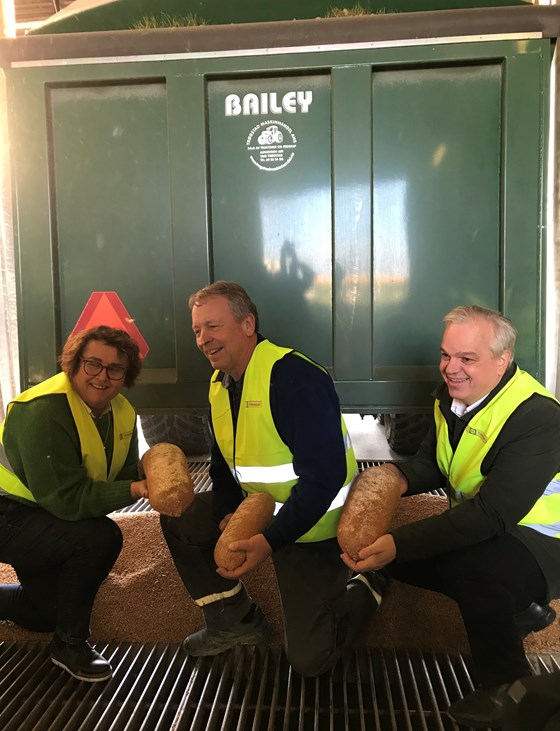 Dette ene kornlasset gir korn til 30.000 brød. Svein Stubberud, Olaug Bollestad og John Arne Ulvan er fornøyd. 