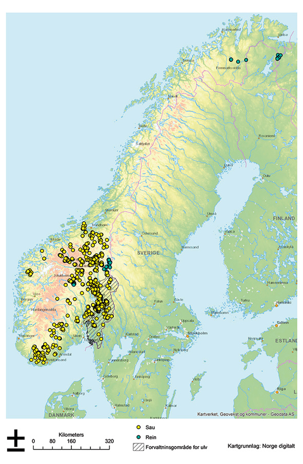 Figur 5.3 Verifiserte ulveskader på sau og tamrein i Norge i årene 2011–2015. Ulvesonen er markert med skravur.
