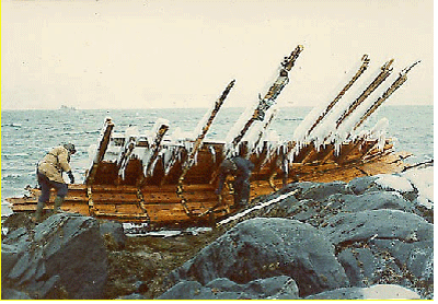 Figur 7.12 Bilde av vrakdelen på Netøya.