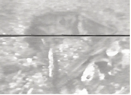 Figur 7.17 Inntrykking på styrbord side av lukekarmen.