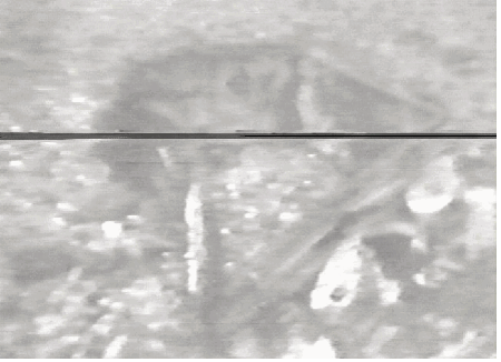 Figur 7.17 Inntrykking på styrbord side av lukekarmen.