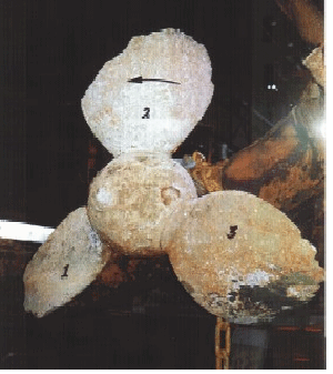 Figur 7.5 Skader på Propellblader.