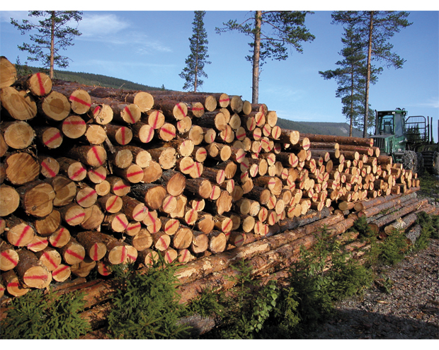 Figur 10.2 Det ble omsatt tømmer for ca. 3,1 mrd. kr i Norge i 2011.
