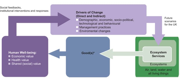 Figur 2.5 Illustrasjon av skillet mellom goder og tjenester.