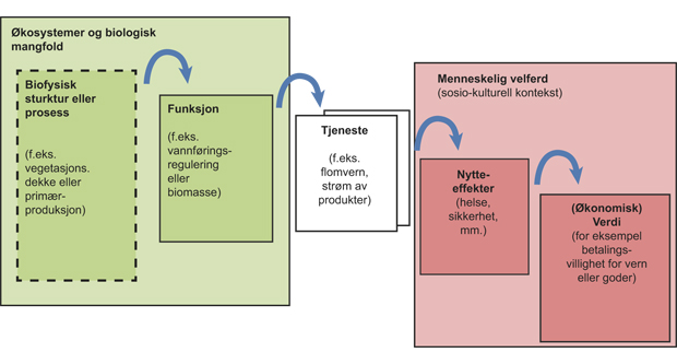 Figur 2.9 TEEB-prosjektets konseptuelle rammeverk.
