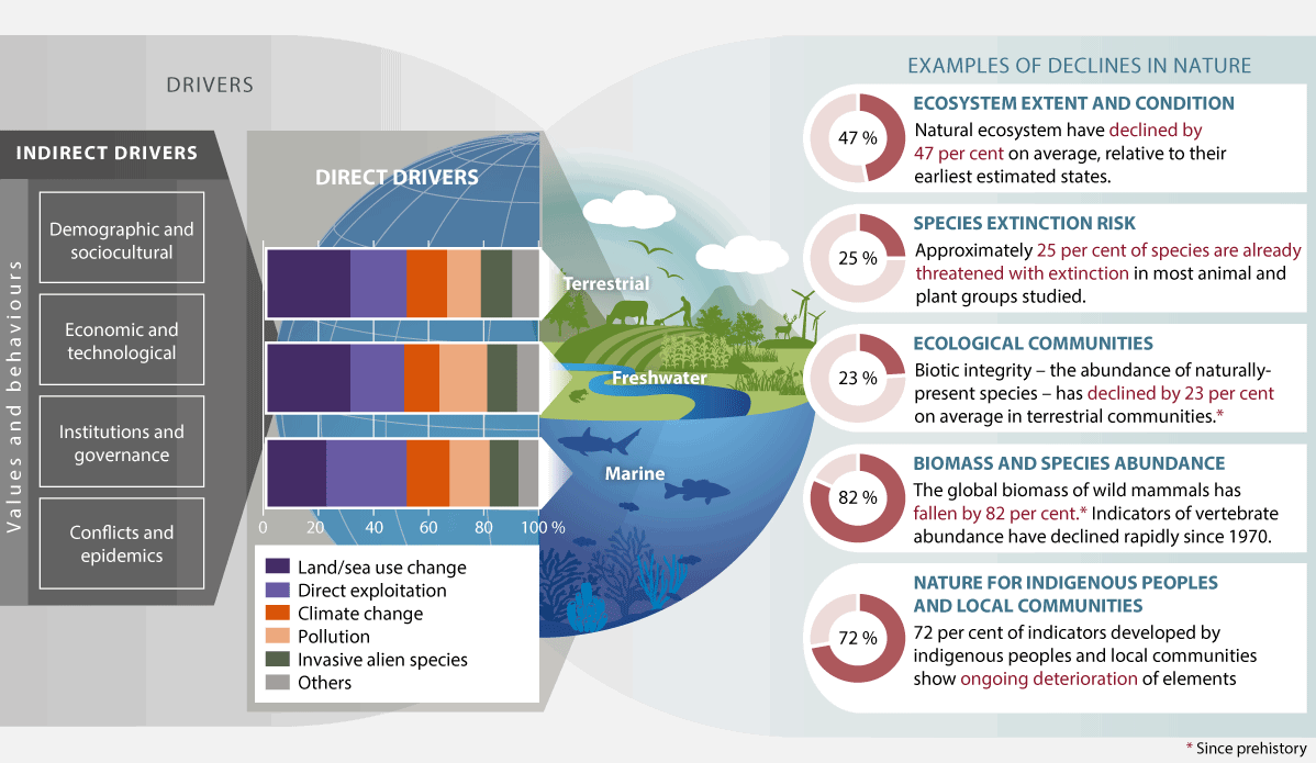 Figure 2.1 Examples of global biodiversity changes