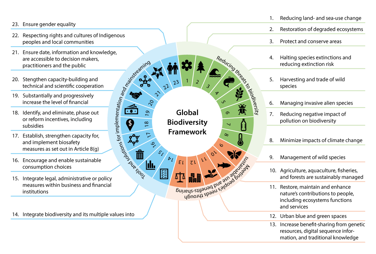 Figure 2.3 KMGBF targets