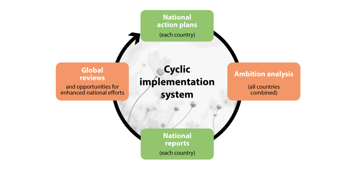 Figure 2.4 Cyclical implementation system