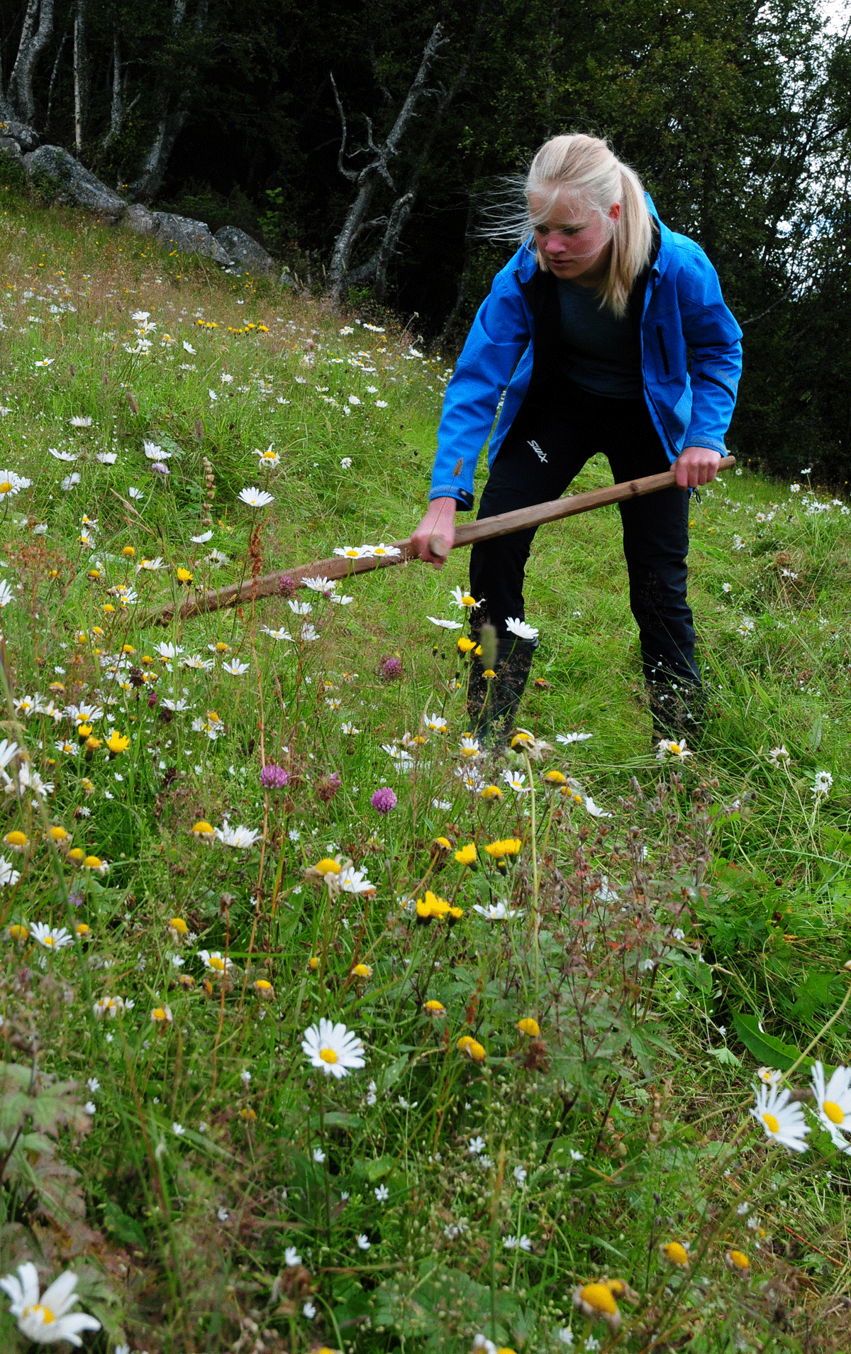 Figure 3.11 Cultural landscape and open lowland ecosystem