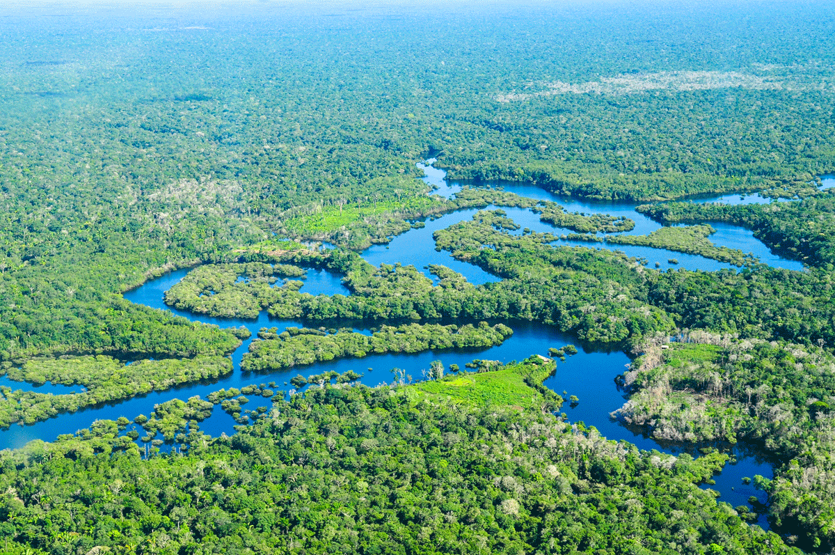 Figure 4.6 The Amazon rainforest near Manaus in Brazil