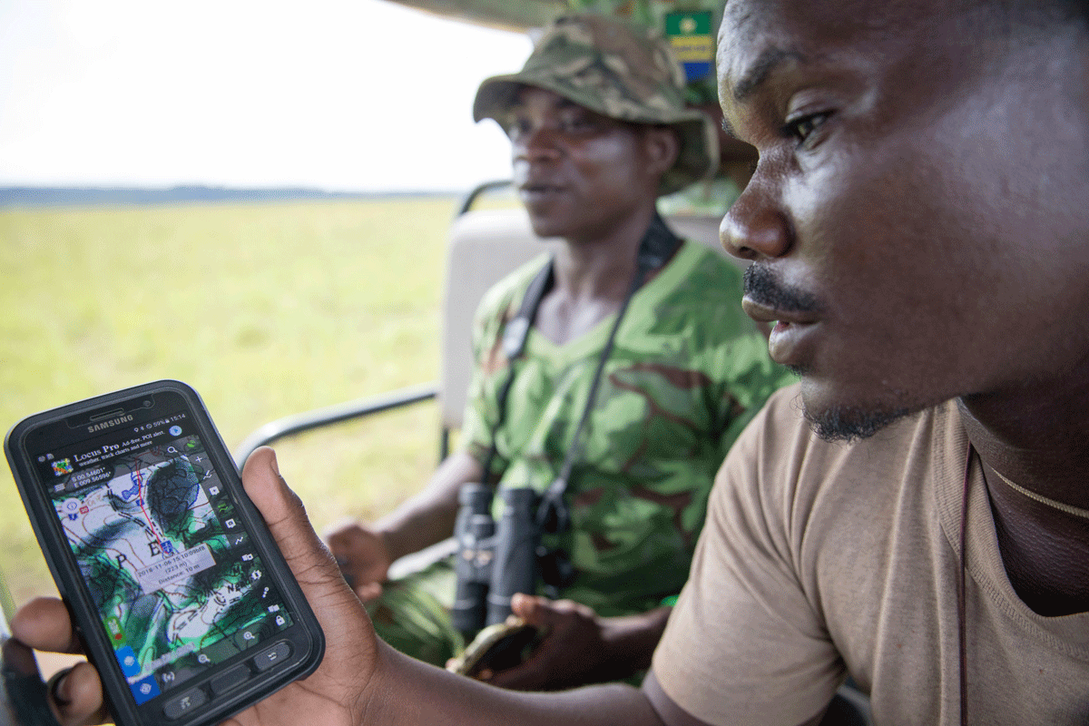 Figure 4.7 Forest monitoring in the Democratic Republic of the Congo