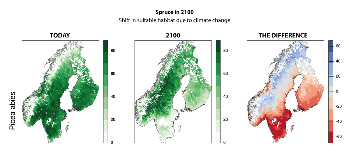 Figure 5.5 Anticipated trend in viable habitats for spruce by the year 2100