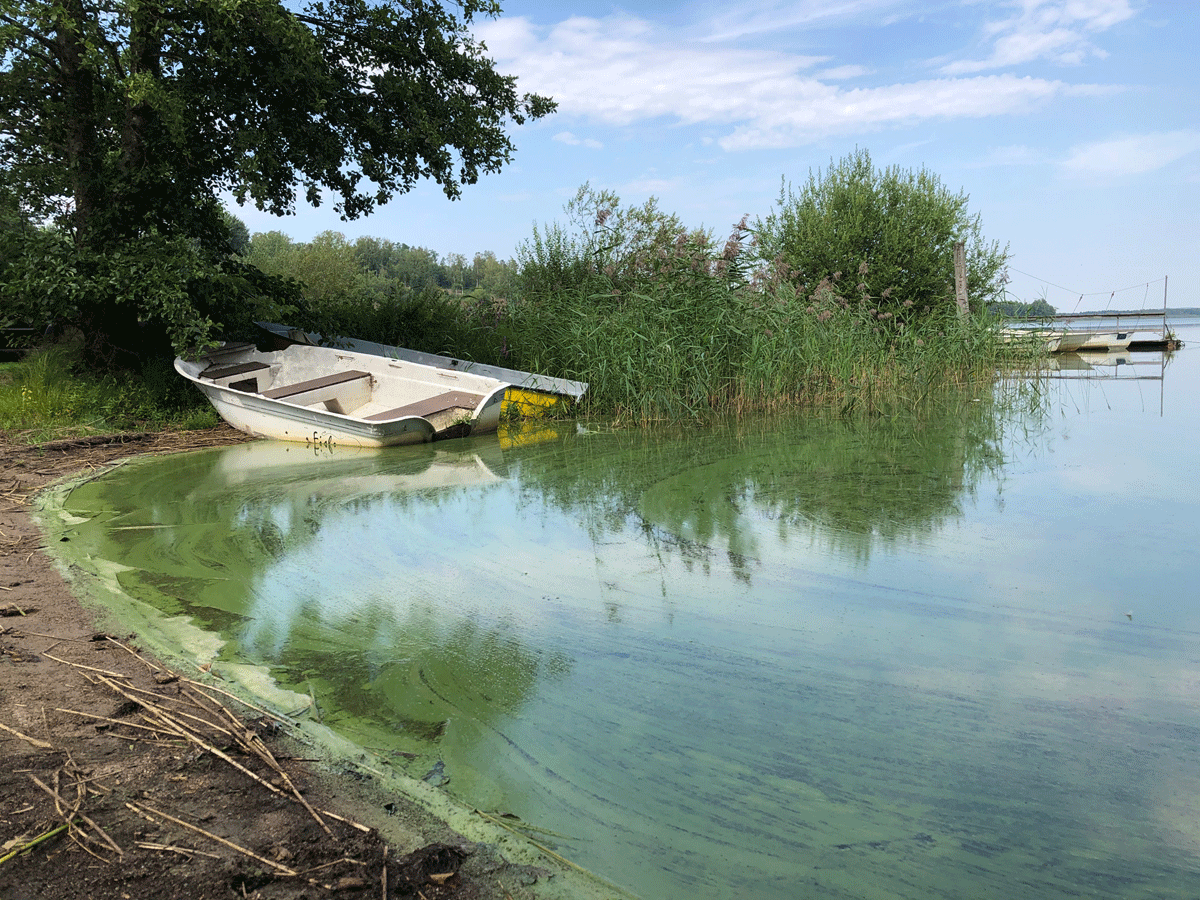 Figure 6.14 Pollution in Akersvannet in Vestfold