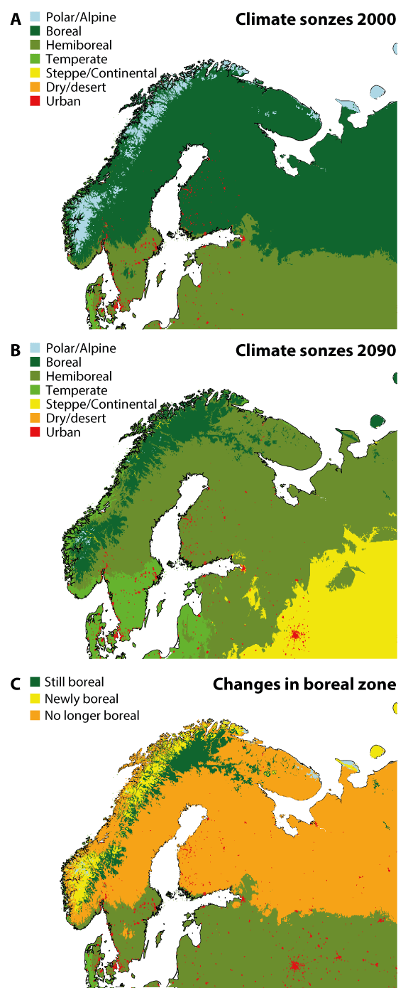 Figure 6.16 Changes to the boreal climate zone due to continued high greenhouse gas emissions