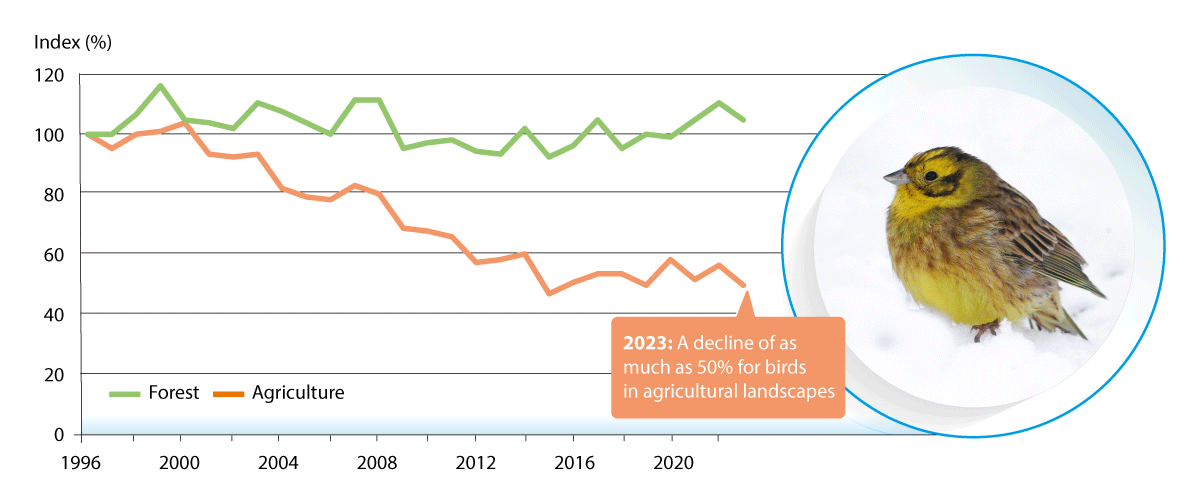 Figure 6.19 Population trends for nesting birds in forests and agricultural landscapes