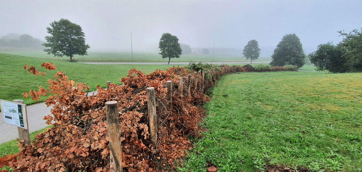 Figure 6.22 Nature-based solutions in Norway – twig fencing