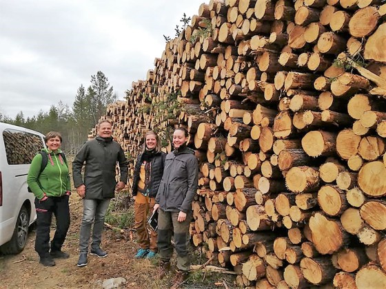 Tynninga er viktig for finnmarksskogbruket.
