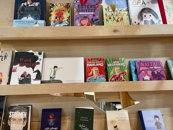 Bilde av norske bøker utstilt på bokmessen i Kairo