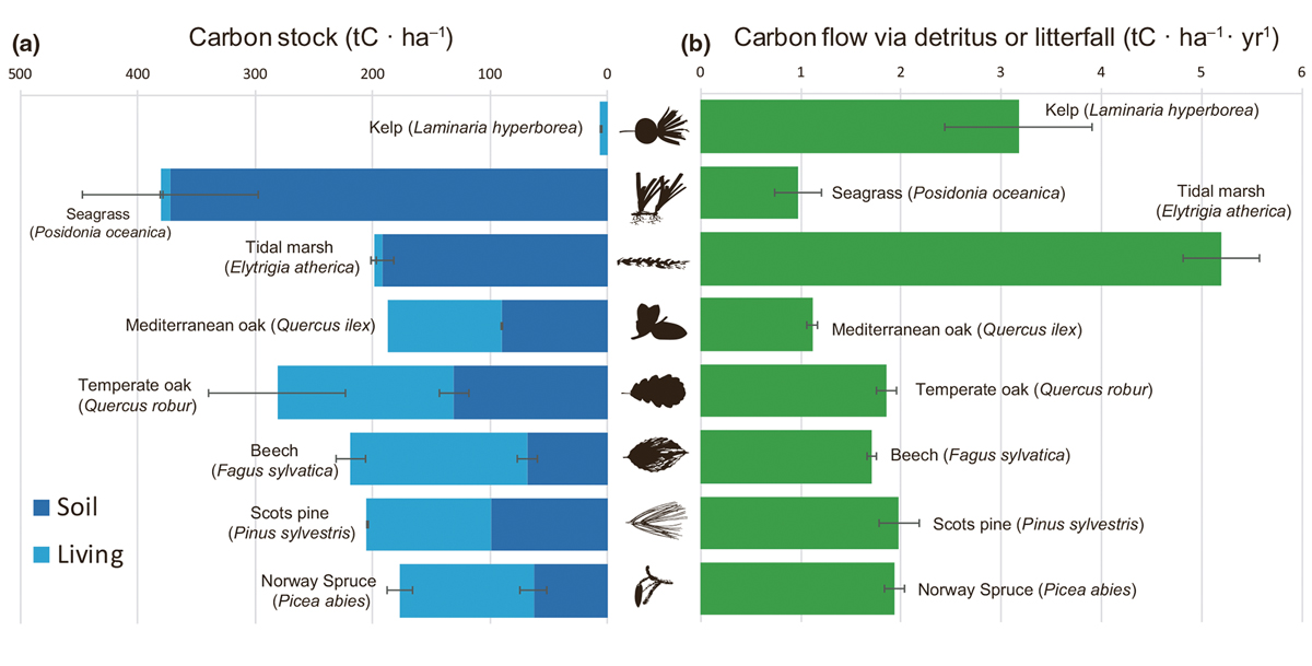 Figure 2.13 Per area carbon standing stock and carbon flux via detritus for dominant habitat-forming primary producers in Europe. The carbon stock contained within each habitat is partitioned into the amount stored in soils (dark blue bars) and in living plant t...