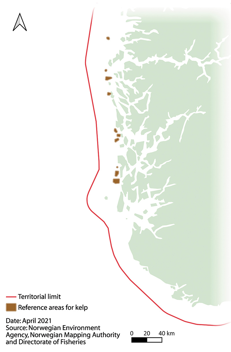 Figure 4.7 Reference areas for kelp.
